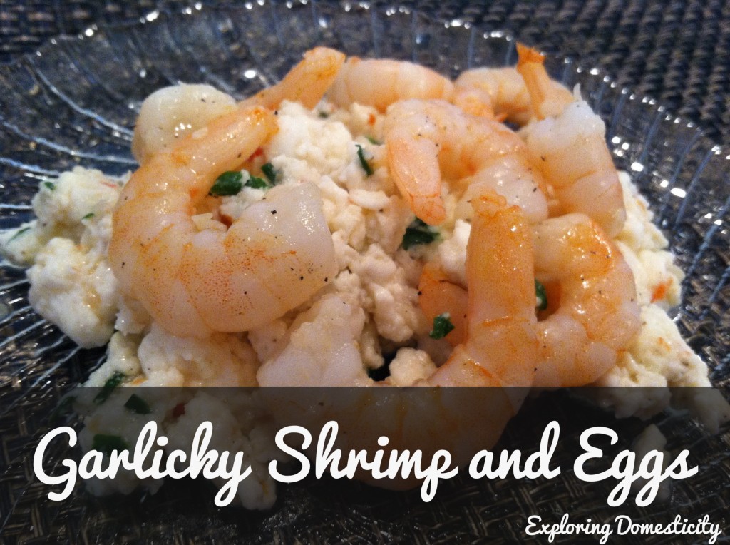 Garlicky Shrimp and Eggs