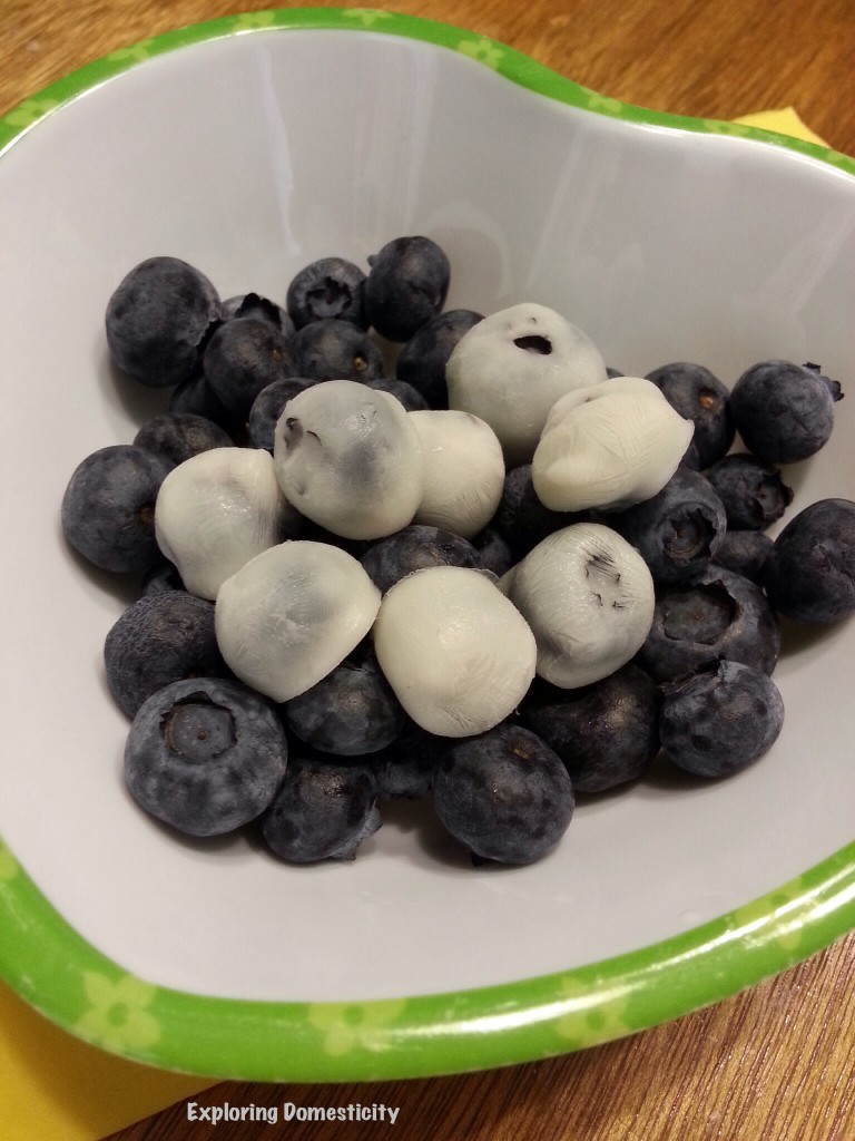25 Healthy Snacks Kids LOVE - Blueberry Yogurt Bites