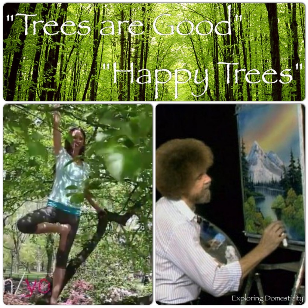 Happy trees with Tara Stiles and Bob Ross