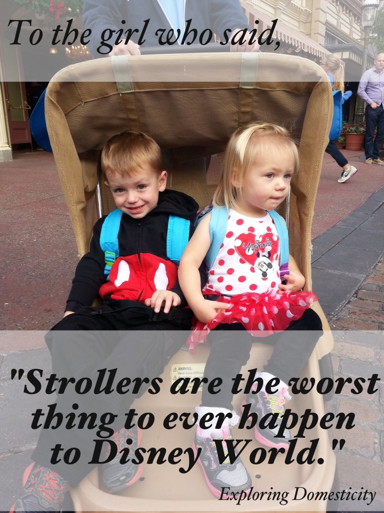 To the girl who said, "strollers are the worst thing to ever happen to Disney World"