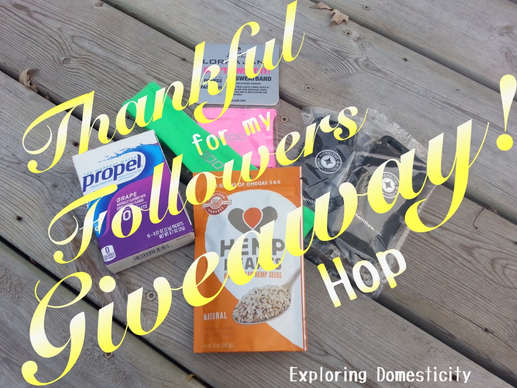 Thankful for my followers giveaway hop prizes