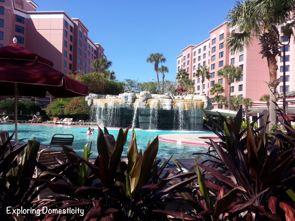 Caribe Royale Orlando Florida, WOW Summit 2014