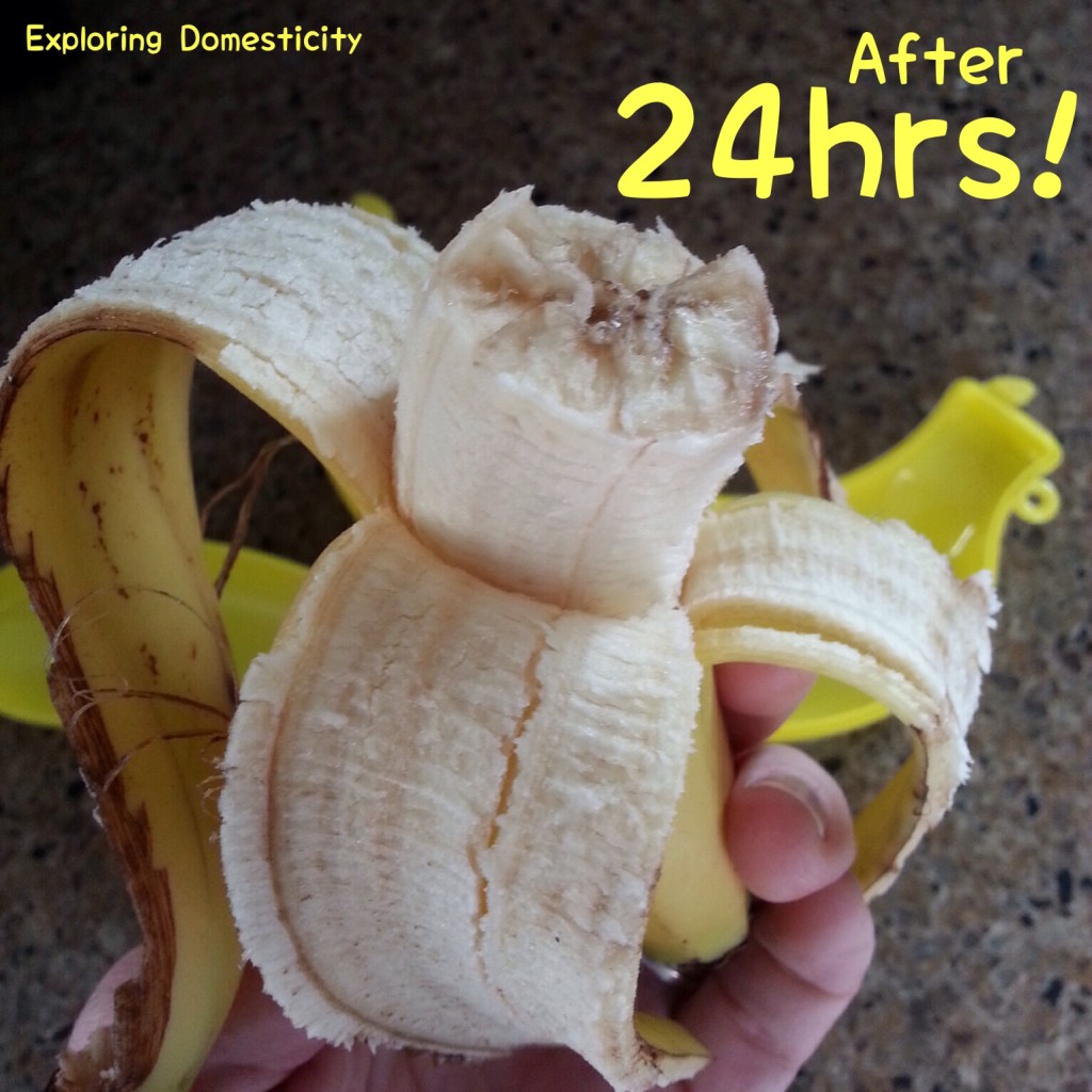 The Banana Keeper: banana half after 24hours!