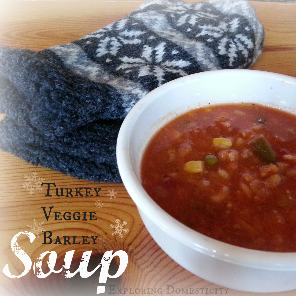 turkey veggie barley soup title