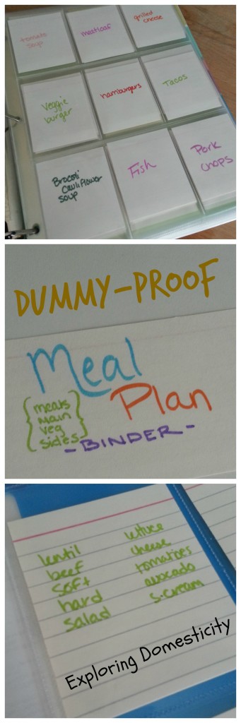 dummy proof meal plan binder