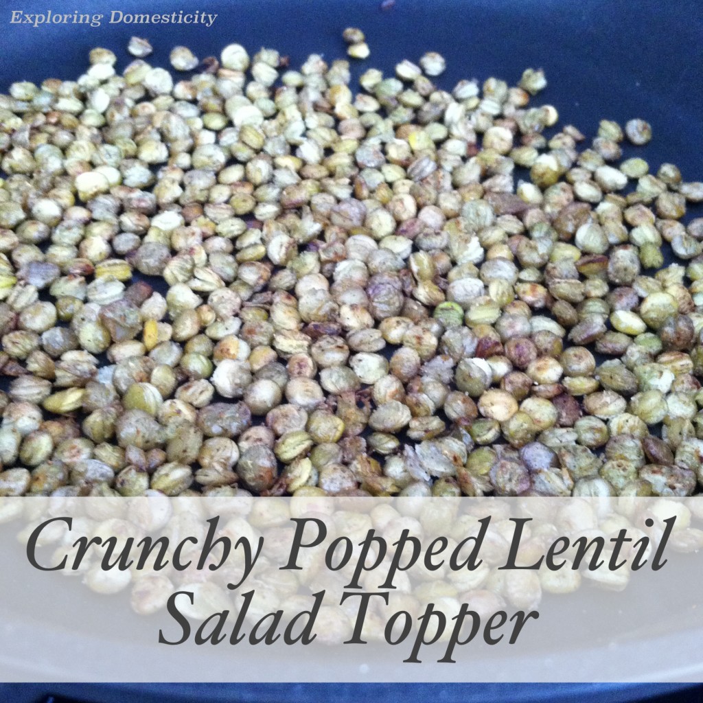 Crunchy Popped Lentil Salad Topper