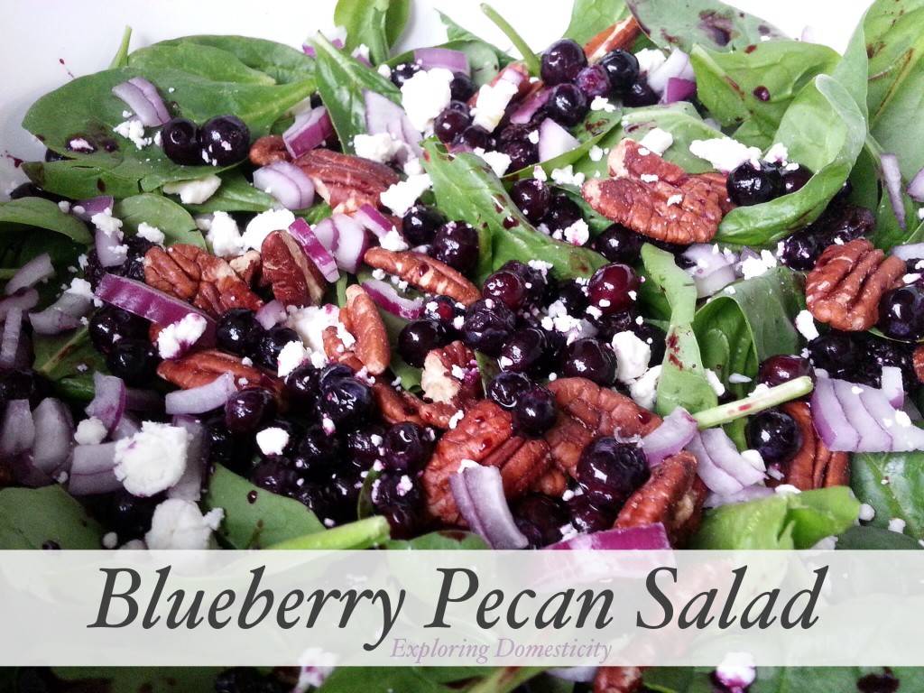 Blueberry Pecan Salad {3 Dishes with Wild Blueberries}