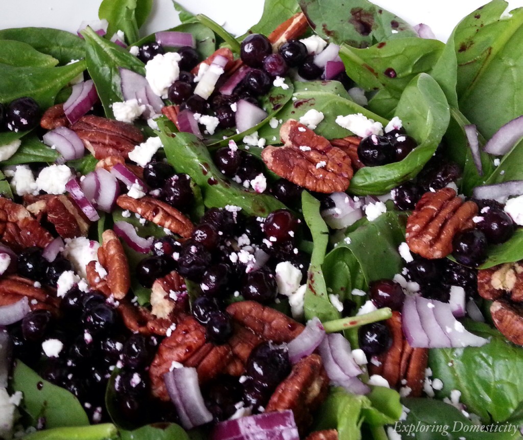 Blueberry Pecan Salad with Blueberry vinaigrette {3 Dishes with Wild Blueberries}