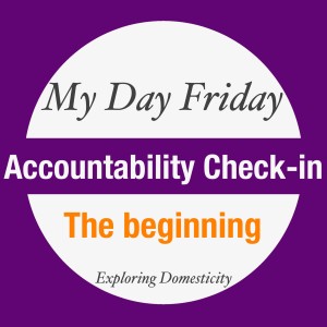 My Day Friday Accountability Check-in: the beginning