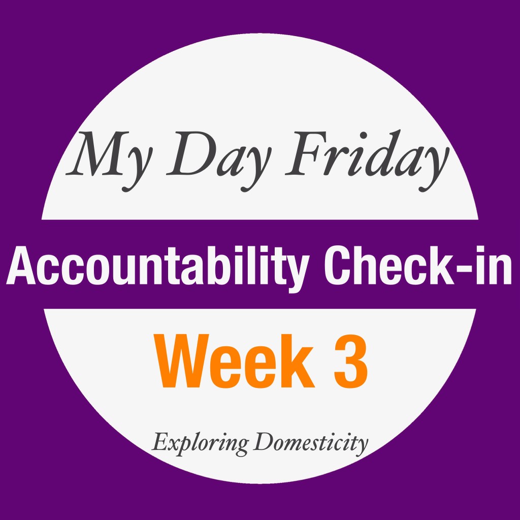 My Day Friday Accountability Check-in: Week 3