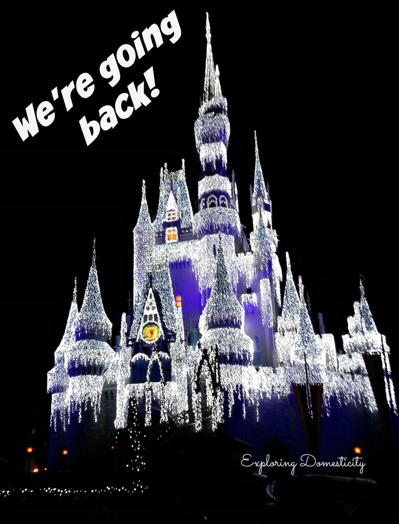 Walt Disney World castle - we're going back