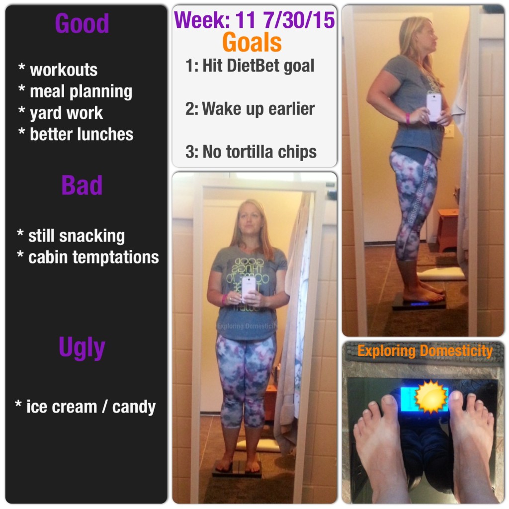 My Day Friday Accountability Check In: Week 11