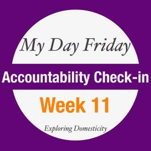 My Day Friday Accountability Check In: Week 11