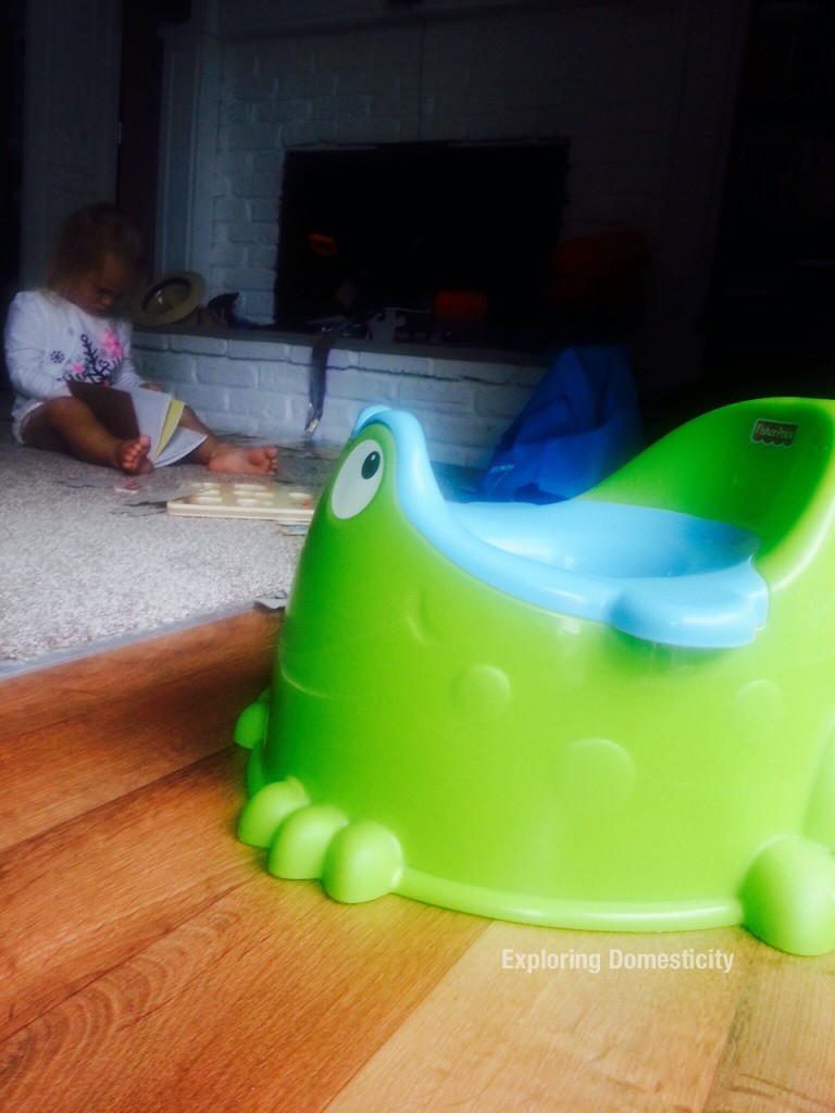 Ramblings from a stressed-out WAHM while potty training