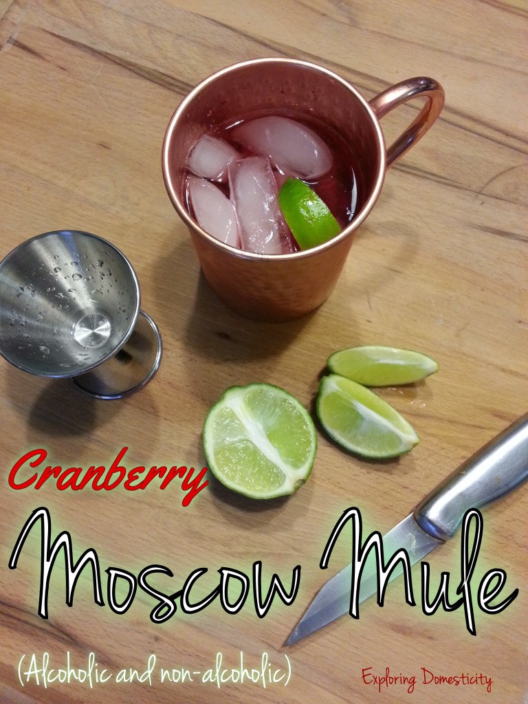 Cranberry Moscow Mule {non-alcoholic and alcoholic}