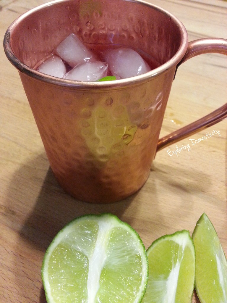 Cranberry Moscow Mule {non-alcoholic and alcoholic}