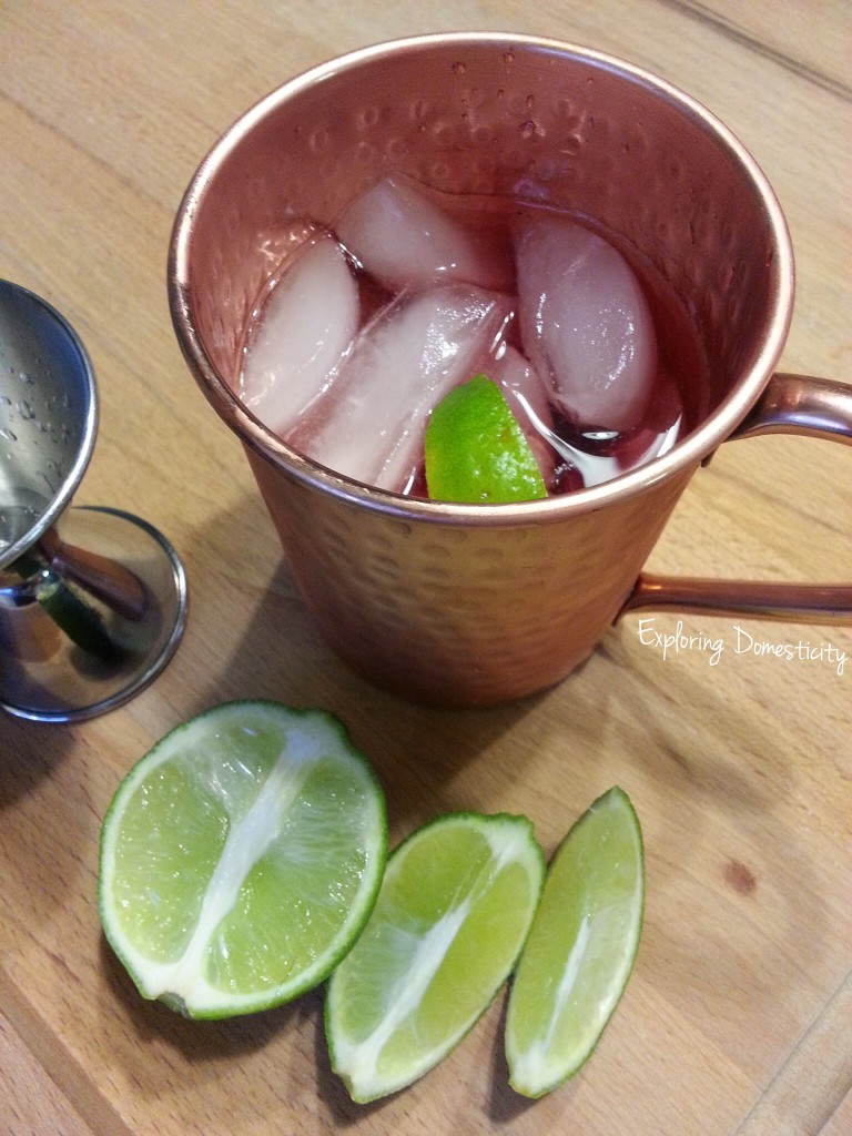 Cranberry Moscow Mule {non-alcoholic and alcoholic}