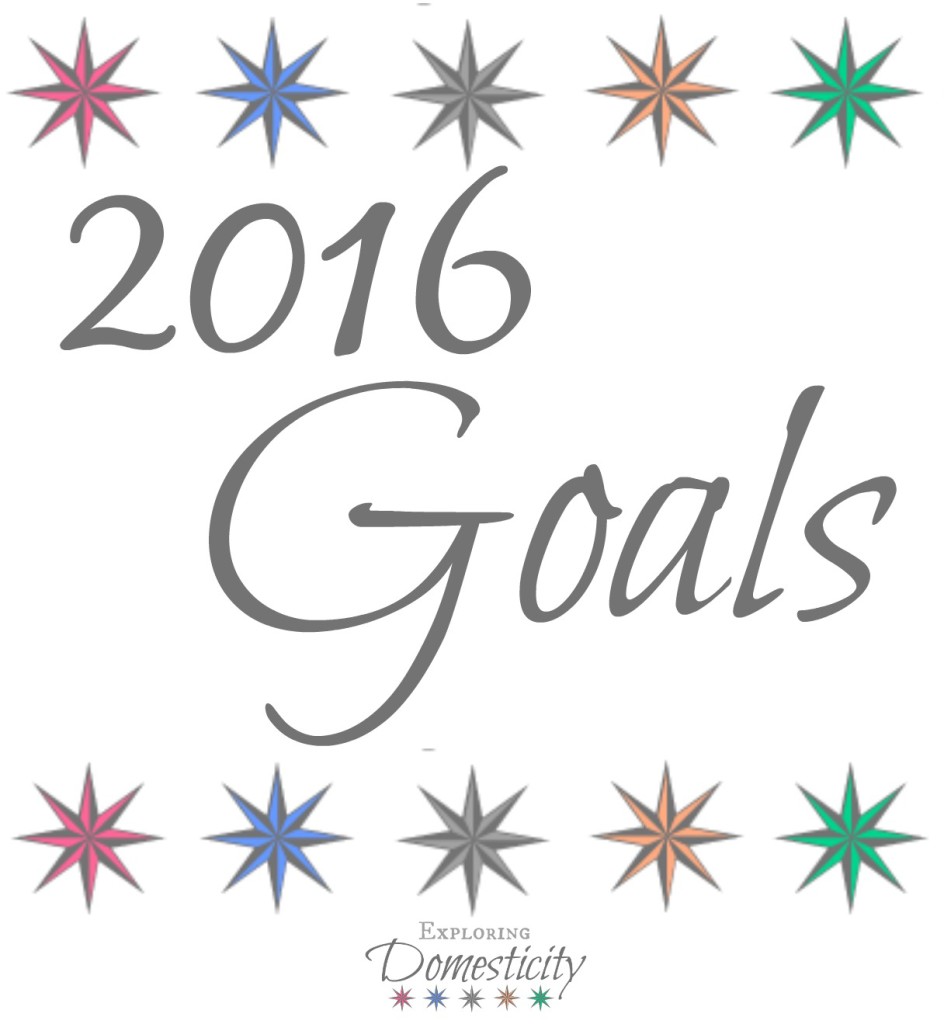 2016 goals