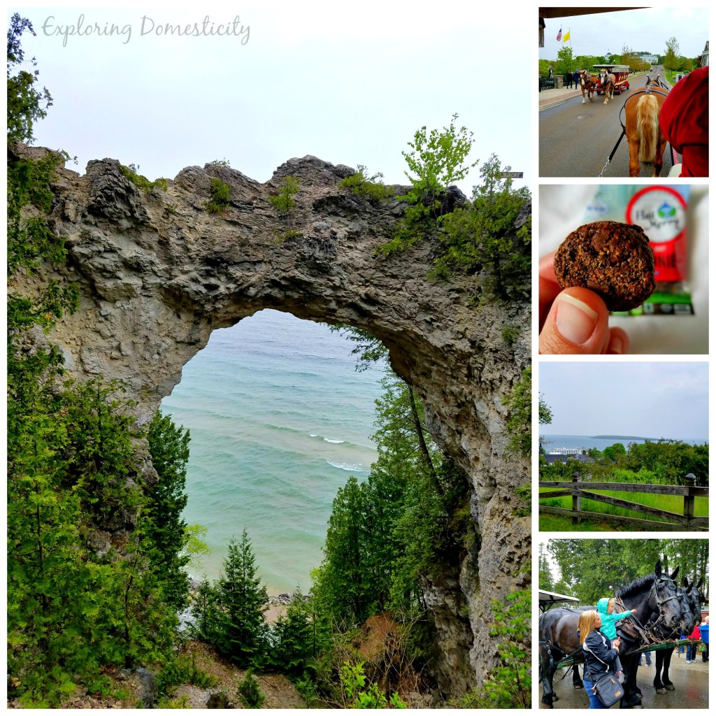 Mackinac Island: ferry, horses, arch rock, and beautiful views