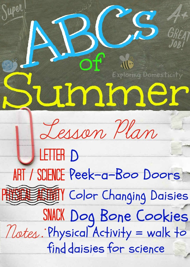 ABCs of Summer Lesson Plan Letter D