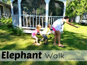 Elephant Walk