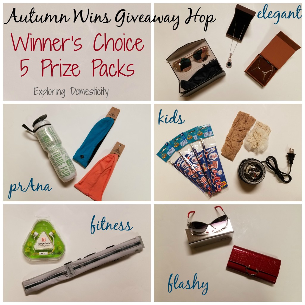 Autumn Wins Giveaway Hop - Winner's Choice 5 prize packs