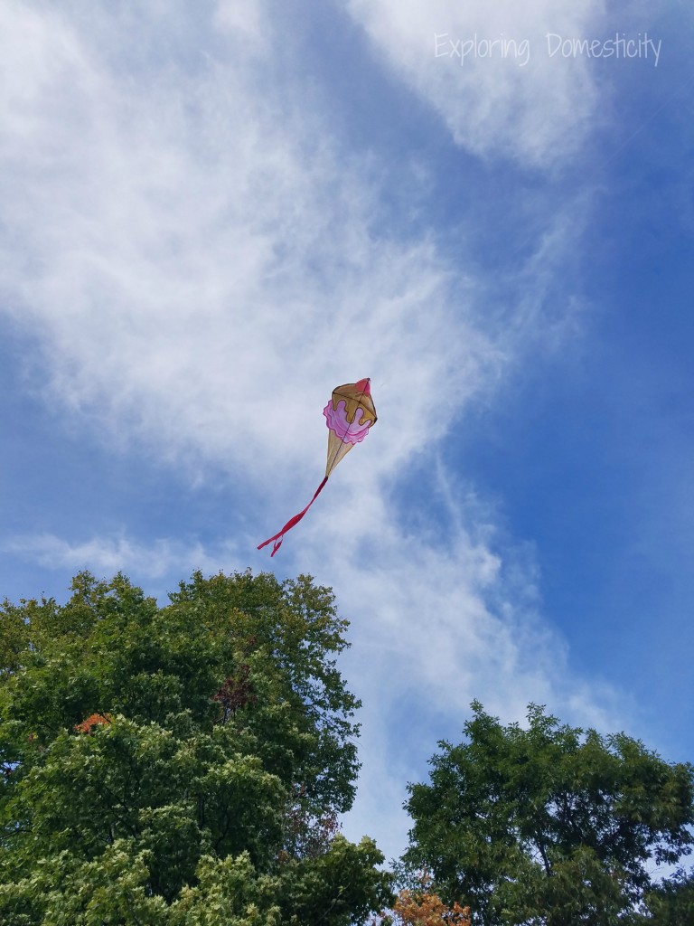 Active Gifts for Healthy Kids: Kite Flying