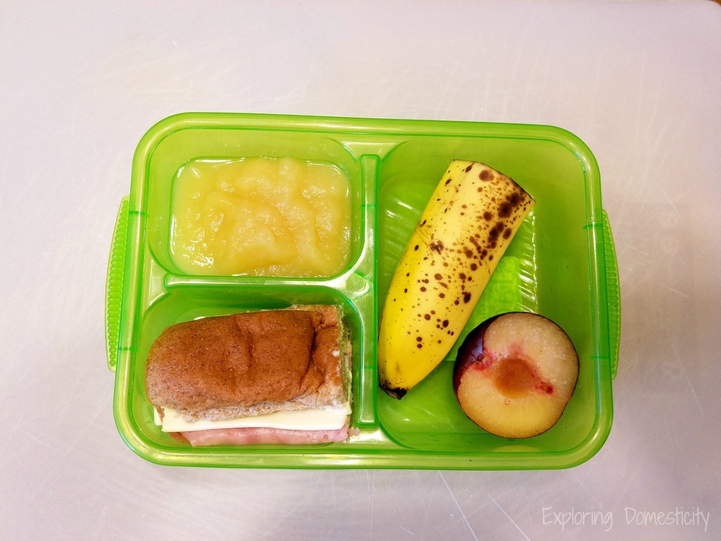 School Lunch Ideas: healthy food and the best containers