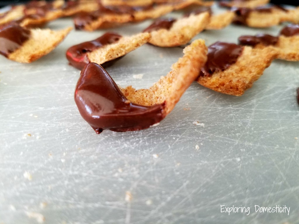 Chocolate Covered Pita Chips