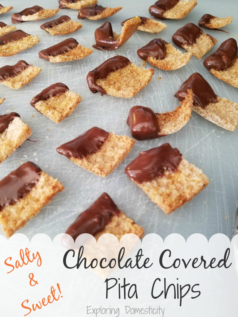 Chocolate Covered Pita Chips - a lighter sweet and salty snack