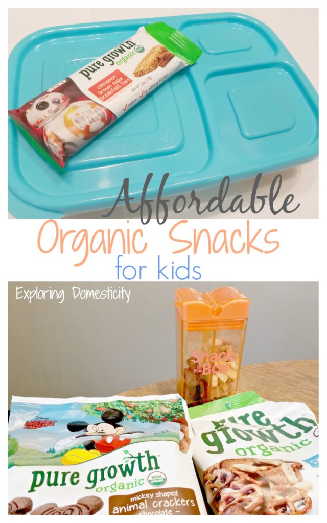 Affordable Organic Snacks for kids 