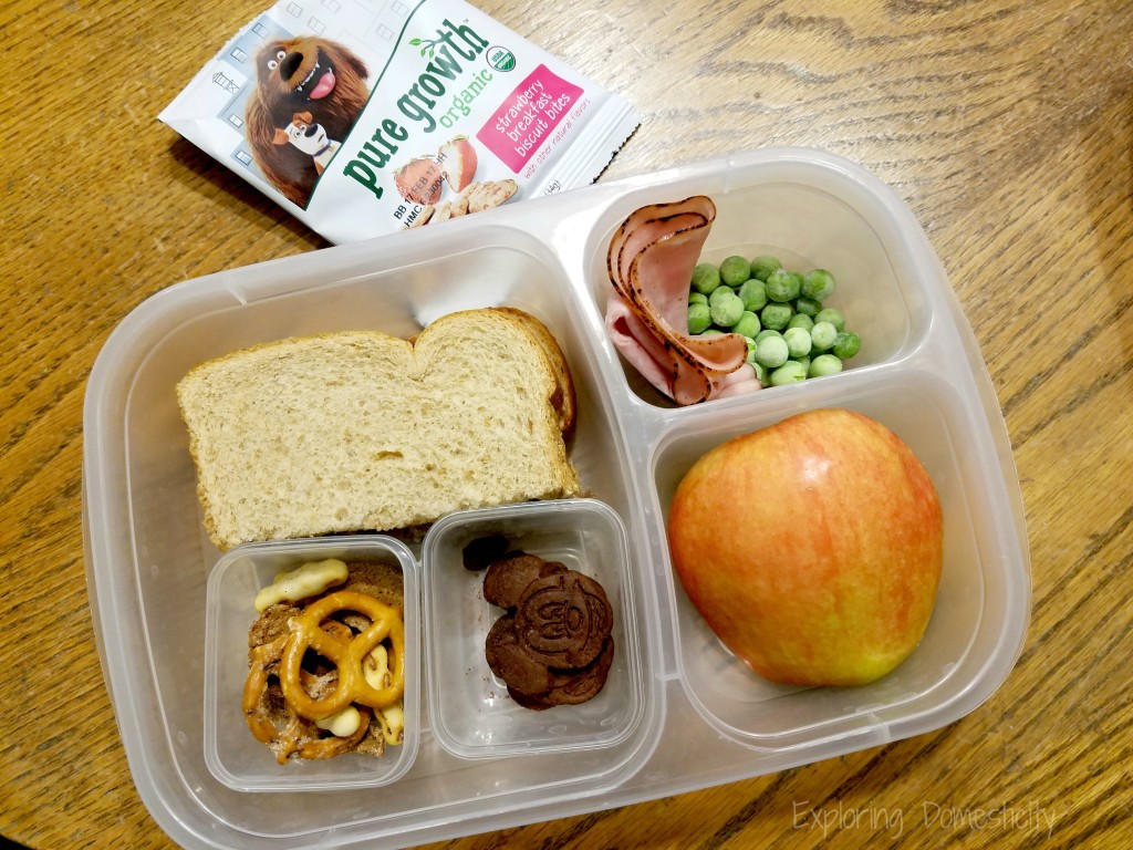 Affordable organic snacks for kids with a healthy lunch