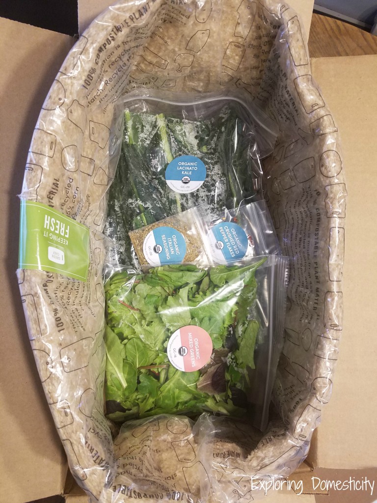 Green Chef Unboxing of gorgeous and fresh food