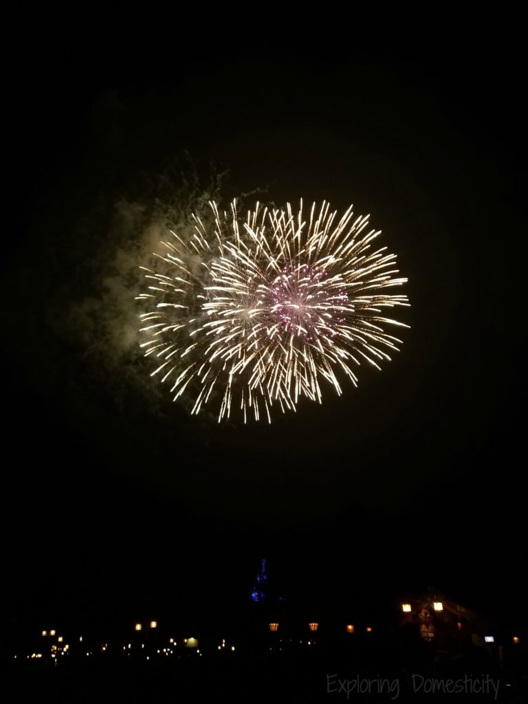 WDW 2017 Magic Kingdom Fireworks