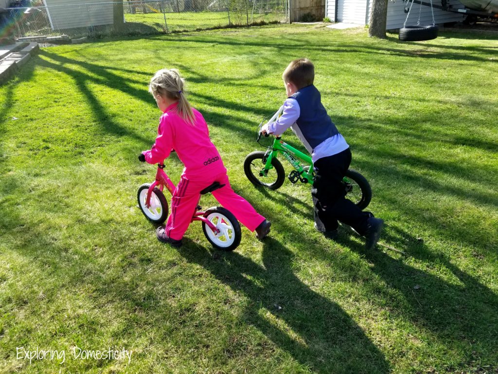 Scraaam Balance Bike - great transition to pedal bike