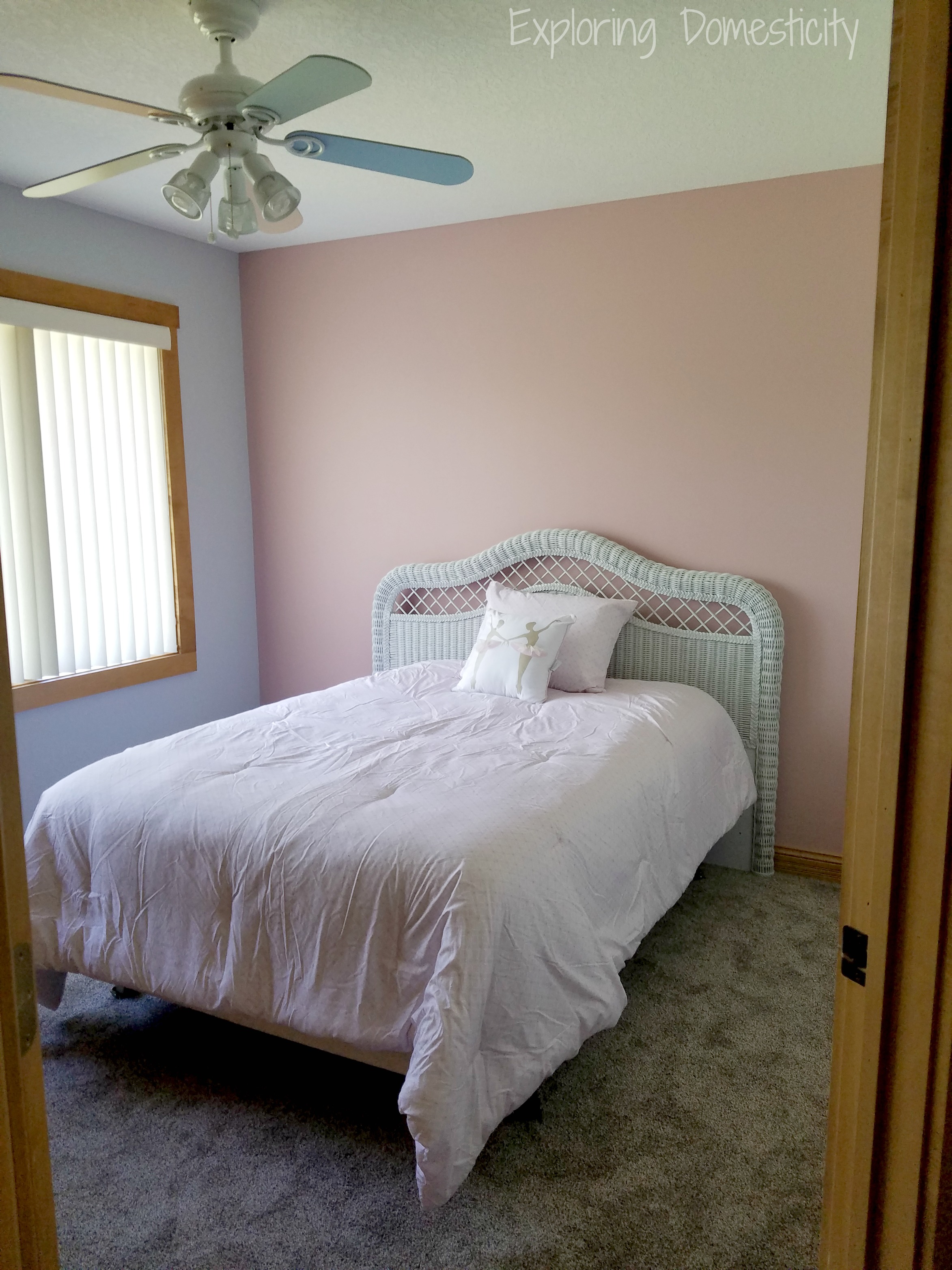Girls Room Pink Accent Wall 