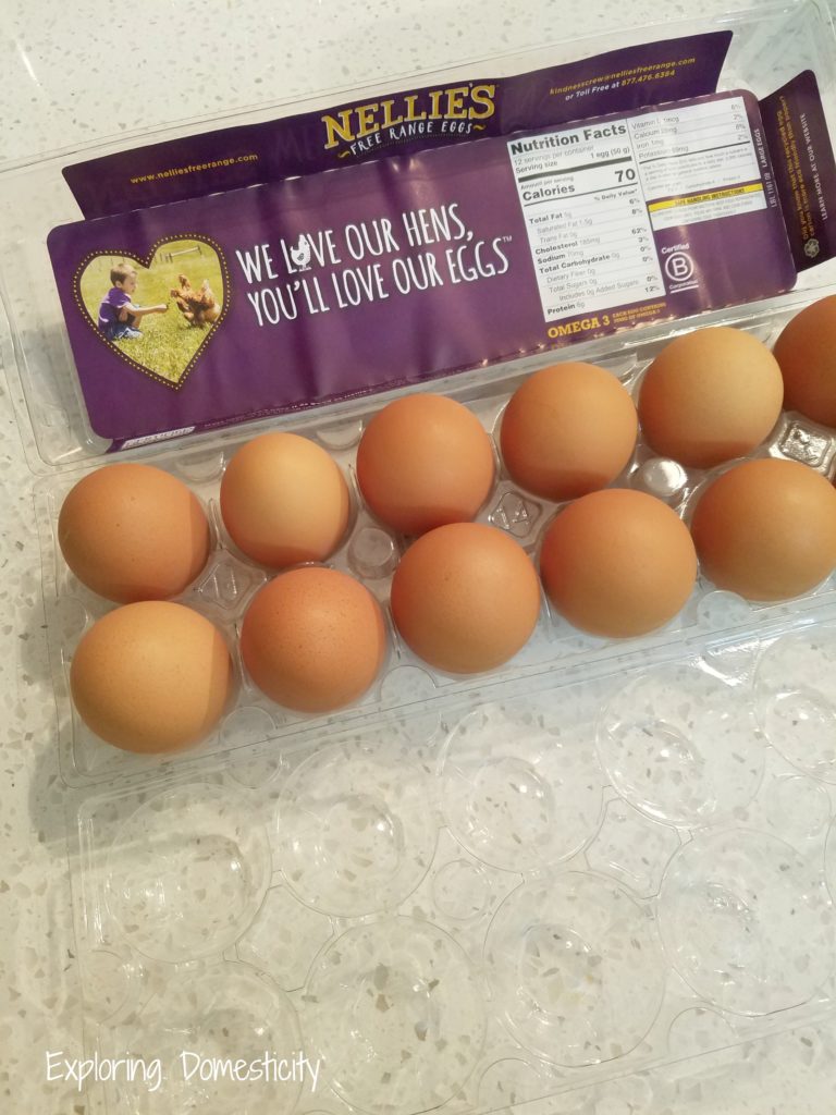 Nellie's Free Range Eggs - Nellie's Summer School