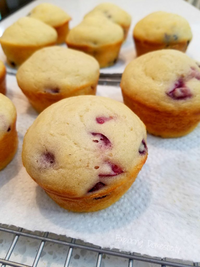 Quick and Easy Make Ahead Breakfast - Protein Pancake Muffins with Lemon Protein Glaze