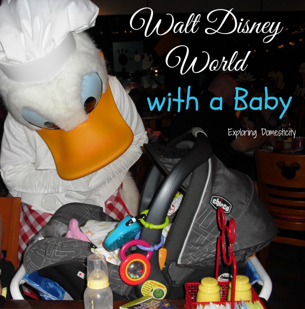 Walt Disney World with a Baby - Why you should totally bring a baby to Disney World #DisneyMom