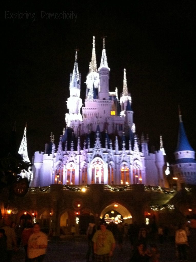 Walt Disney World Magic Kingdom with Toddlers