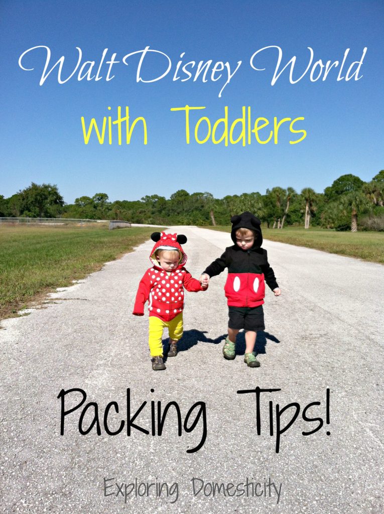 Walt Disney World with Toddlers Packing Tips
