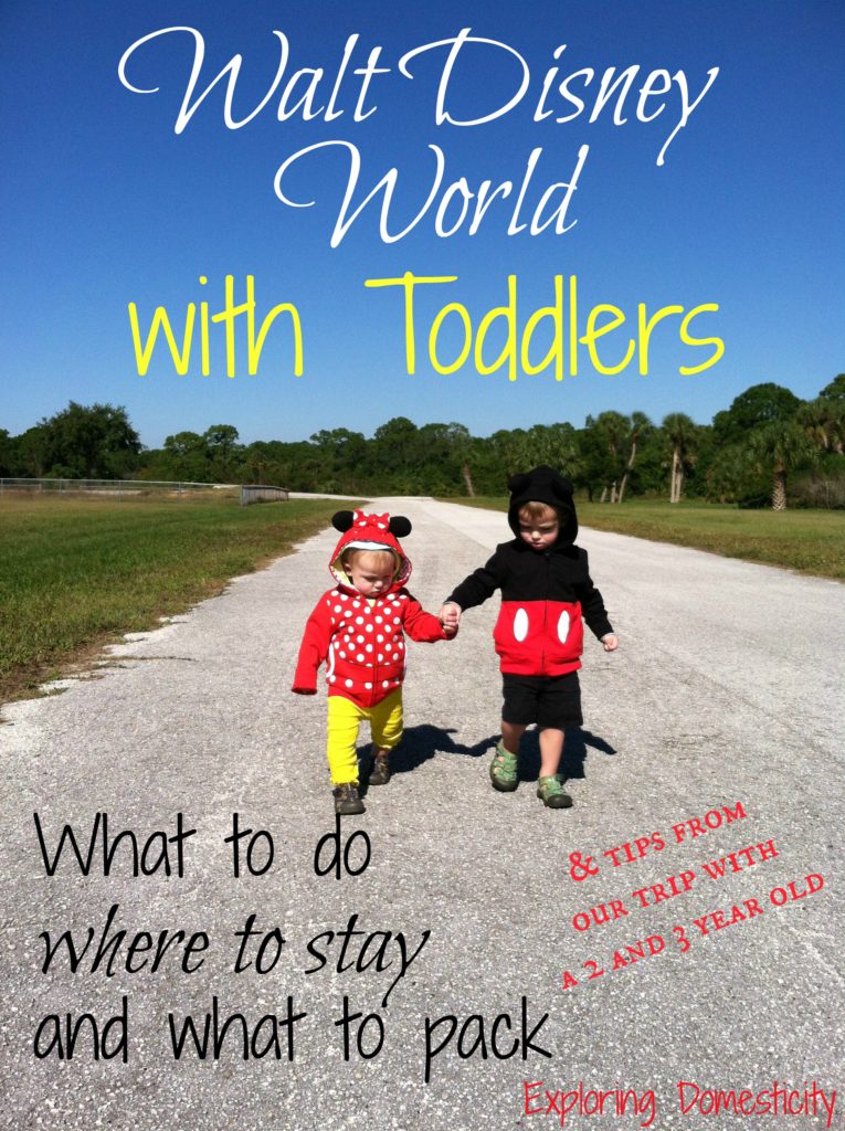 Walt Disney World with Toddlers - what to do, where to stay, and what to pack and tips from our trip with a 2 and 3 year old