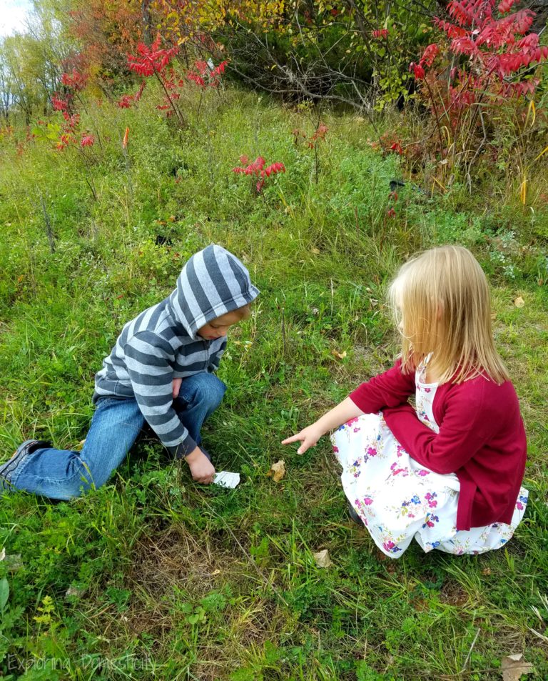 how to take care of the environment for kids