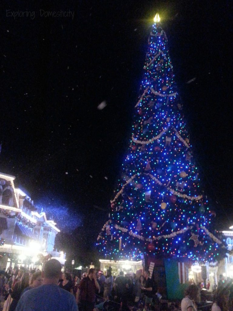 Walt Disney World during Christmas - Mickey