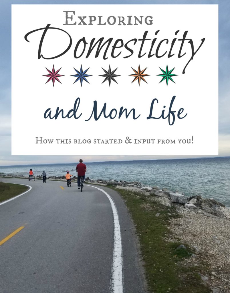 Exploring Domesticity and Mom Life - How this blog started, and input from you!