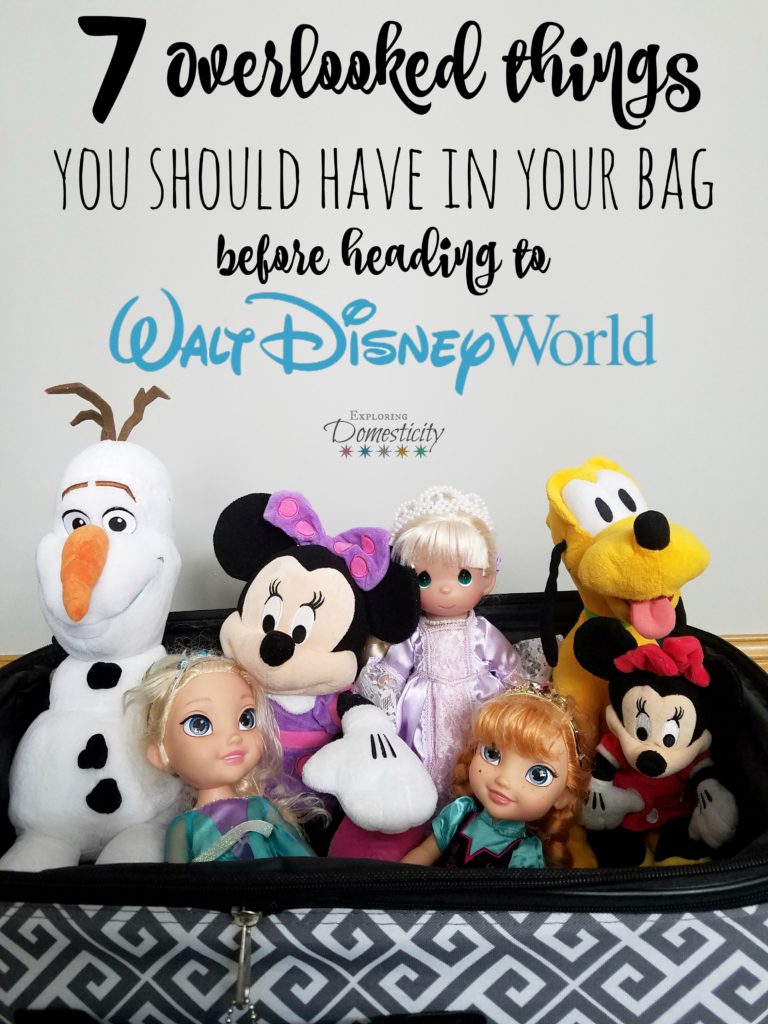 7 Overlooked things you should have in your bag before heading to Walt Disney World