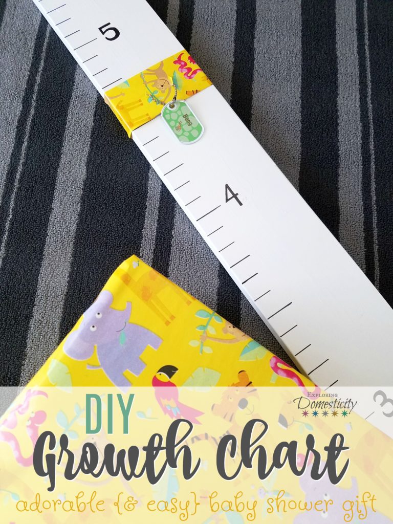 DIY Growth Chart - adorable and easy baby shower gift