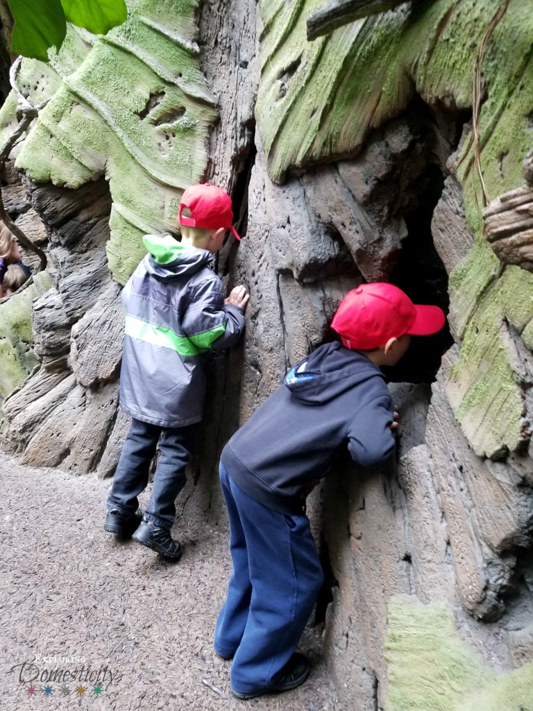 Group Trips with Kids - Make them easy to spot with red hats