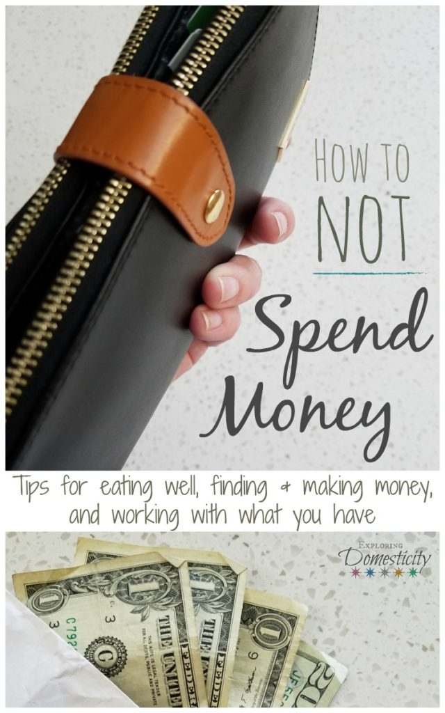 How to Not Spend Money - tips for eating well, finding and making money, and working with what you have