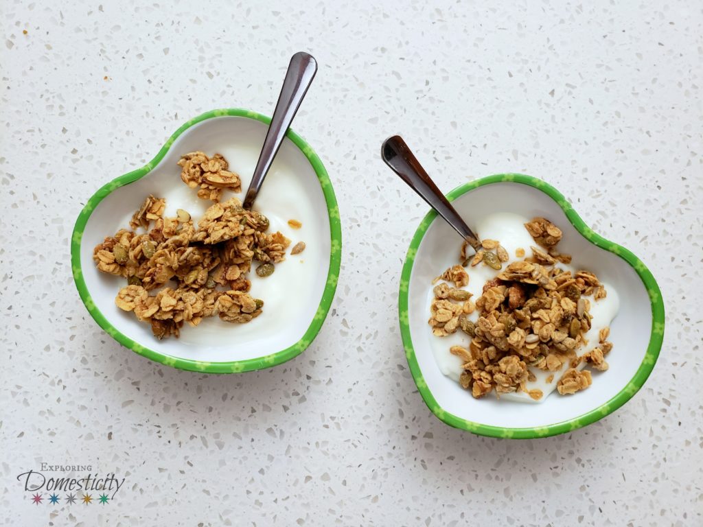 Granola Snacks - granola and yogurt - the old standby